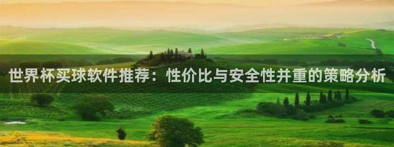 世界杯对阵表：世界杯买球软件推荐：性价比与安全性并重的策略分析