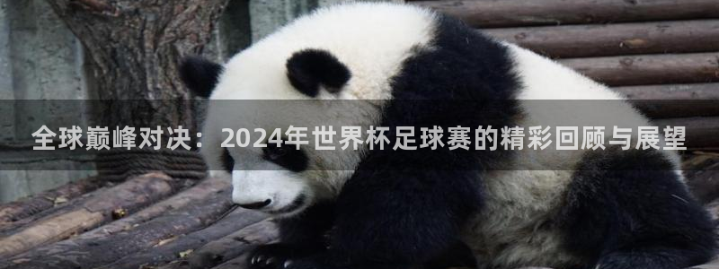 2026世界杯德国队阵容：全球巅峰对决：2024年世界杯足球赛的精彩回顾与展望