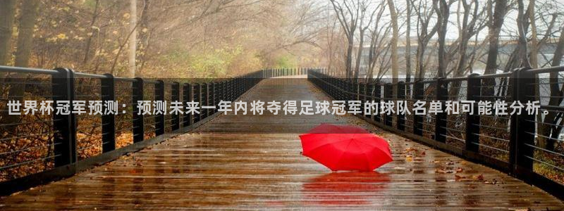 世界杯欧洲区预选赛：世界杯冠军预测：预测未来一年内将夺得足球冠军的球队名单和可能性分析。