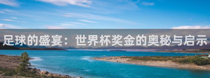 世界杯赛程表：足球的盛宴：世界杯奖金的奥秘与启示