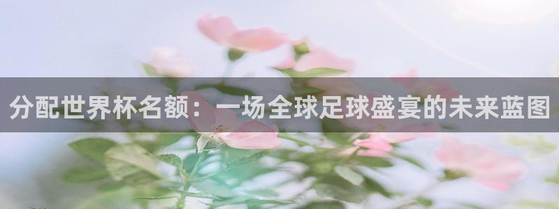 联赛杯直播：分配世界杯名额：一场全球足球盛宴的未来蓝图