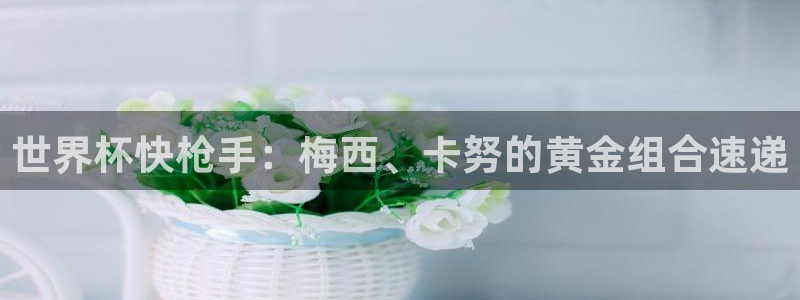 足球杯：世界杯快枪手：梅西、卡努的黄金组合速递
