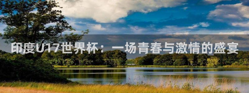 世界杯预选赛亚洲：印度U17世界杯：一场青春与激情的盛宴