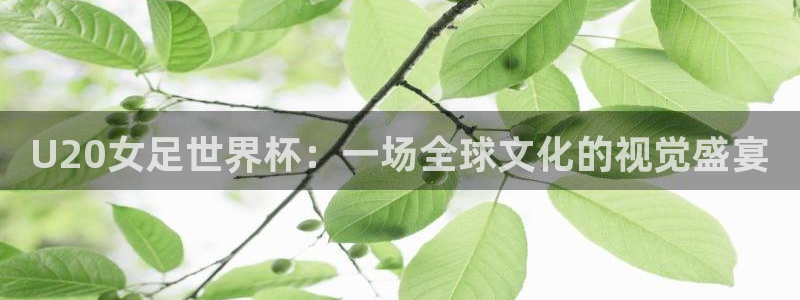 世界杯今年：U20女足世界杯：一场全球文化的视觉盛宴