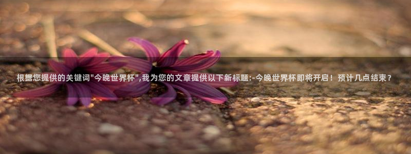 2026年世界杯时间表：根据您提供的关键词\