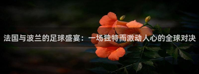 世界杯决赛圈球队：法国与波兰的足球盛宴：一场独特而激动人心的全球对决