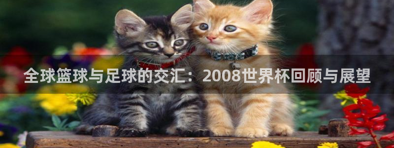 2026世界杯欧洲预选赛赛程表：全球篮球与足球的交汇：2008世界杯回顾与展望