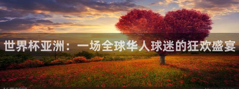 世界杯48支球队赛制：世界杯亚洲：一场全球华人球迷的狂欢盛宴