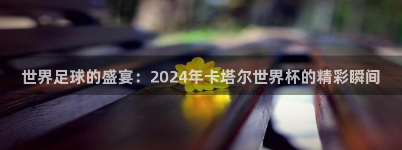世界杯官网：世界足球的盛宴：2024年卡塔尔世界杯的精彩瞬间