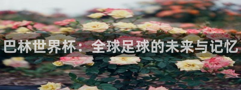 世界杯欧洲预选赛赛程：巴林世界杯：全球足球的未来与记忆