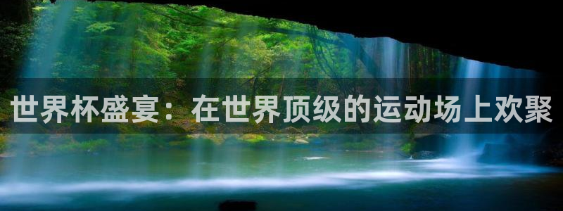 世界杯直播观看：世界杯盛宴：在世界顶级的运动场上欢聚