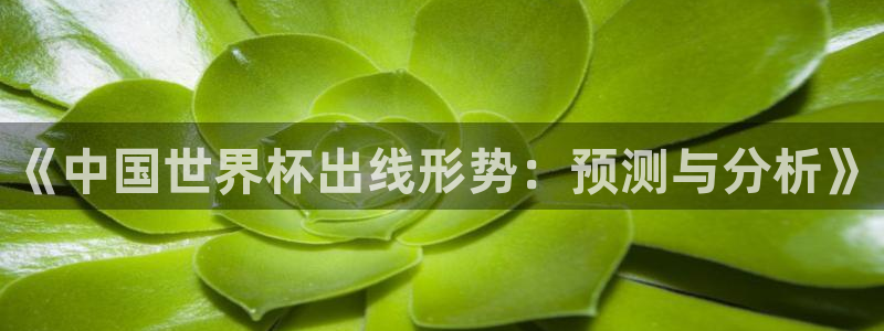 欧洲区世界杯预选赛：《中国世界杯出线形势：预测与分析》