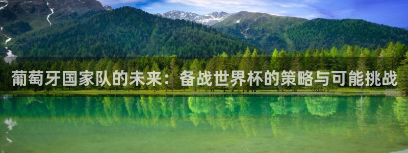 2026年世界杯赛程时间表格：葡萄牙国家队的未来：备战世界杯的策略与可能挑战