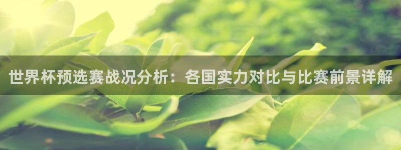 世界杯足球赛2026：世界杯预选赛战况分析：各国实力对比与比赛前景详解