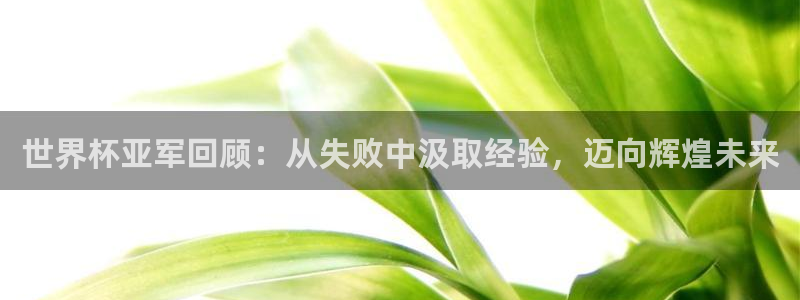 足球世预赛：世界杯亚军回顾：从失败中汲取经验，迈向辉煌未来
